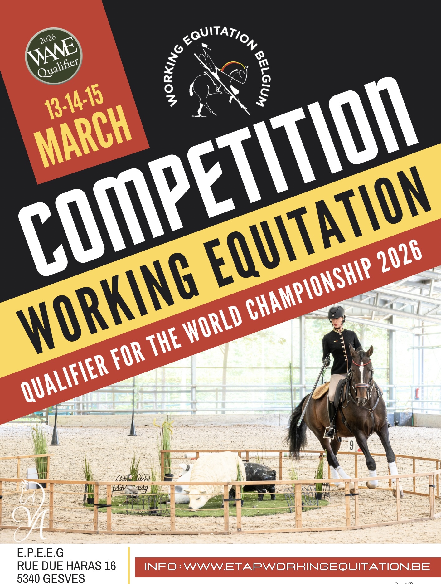 COMPETITION N°1 - WAWE Qualifier + ETAP regional - Gesves 2026