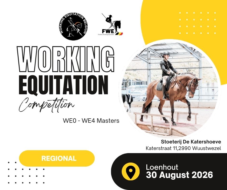 COMPETITION N°9 - FWE : Loenhout 2026